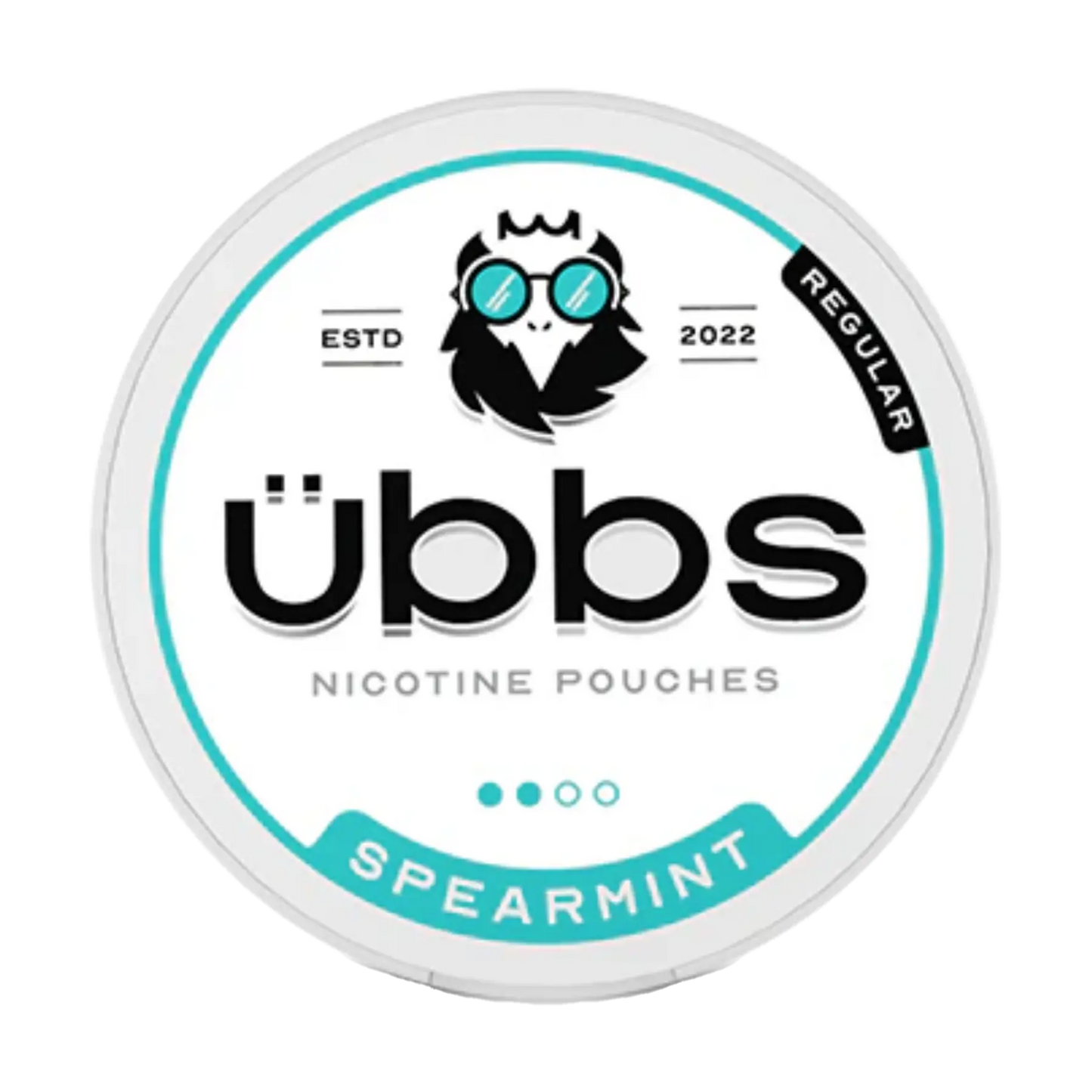 Übbs Nicotine Pouches - Spearmint