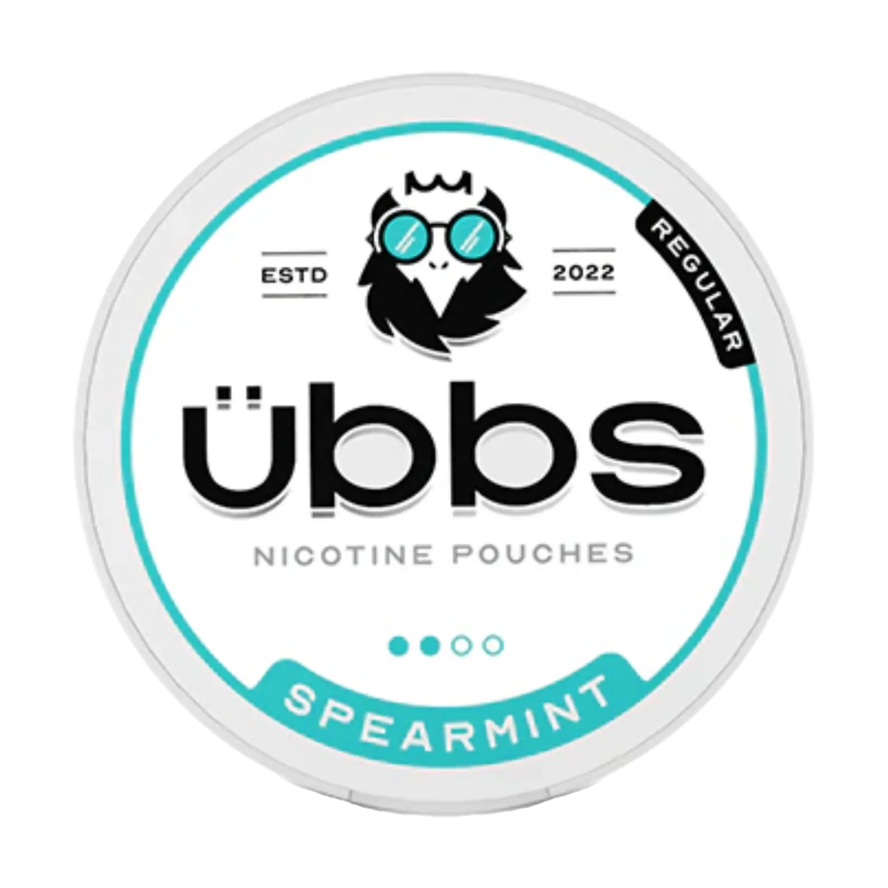Übbs Nicotine Pouches - Spearmint